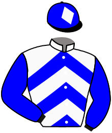 Casaque de IGOR DES ONGRAIS