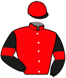 Casaque de HILTON DU HOULET