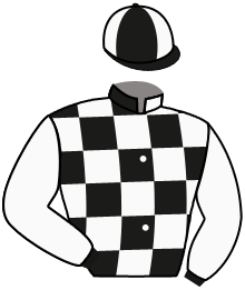 Casaque de MAZARIN DU BERLAIS