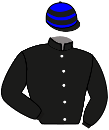 Casaque de GATSBY WIC