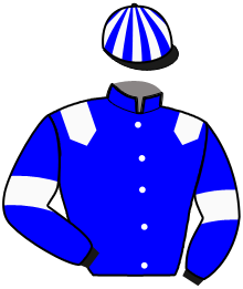 Casaque de MAESTRO RIVER