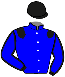 Casaque de HEROS DE MARZY