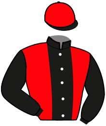 Casaque de JOKER CASTILUANNE