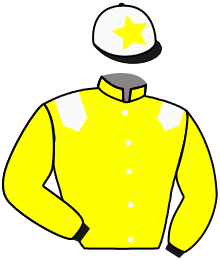 Casaque de CAPTAIN EAGLE