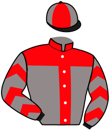 Casaque de LADY BLACK BIRD