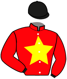 Casaque de NIGHT D'ERONVILLE