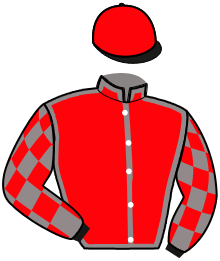 Casaque de MISTRAL DESMAURINS