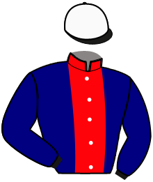 Casaque de MITRI SALIBA