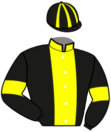 Casaque de LATINO PURA VIDA