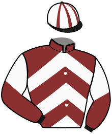 Casaque de MARVEL SUPREME