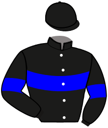 Casaque de NO LIMIT SAUTREUIL