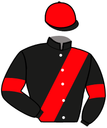 Casaque de GALON D'AMIRAL