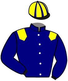 Casaque de KING STEED