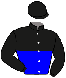 Casaque de LEADER DU POMMEAU