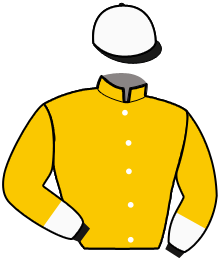 Casaque de DILVA JET