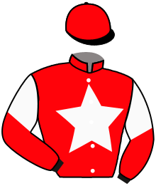 Casaque de KAPPA GREEN