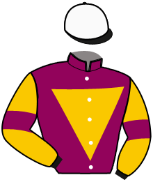 Casaque de FILLY MAIL