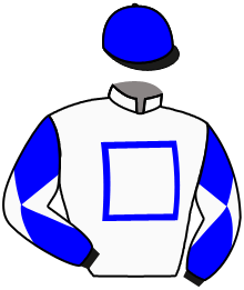 Casaque de LAMSA (AR)