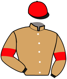 Casaque de MINERAL DE PLAY