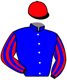 Casaque de MISS GREEN FEVER