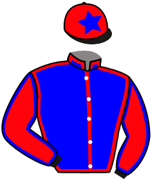 Casaque de RAFFLES HONOUR