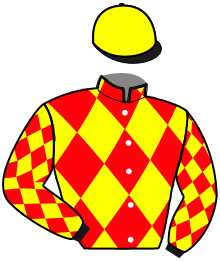 Casaque de FACE WISE AS