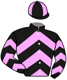 Casaque de MAG NESS ONE