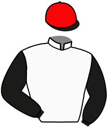 Casaque de LANZELOT GOLD