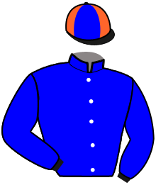 Casaque de JOYAU DE MASSARA