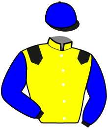 Casaque de JENKO DU HENNEQUIN