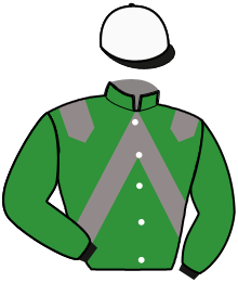 Casaque de TI AMO VIKTORY