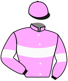 Casaque de SILVER TOWER