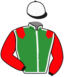 Casaque de MAN OF STEEL