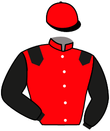 Casaque de SECOND TO NONE