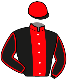 Casaque de NAPOLEON DE GOUYE