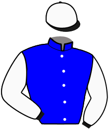 Casaque de MONEY AIMEF