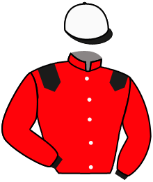 Casaque de SALUT DES FLOS