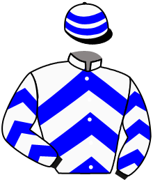 Casaque de METRONOMY