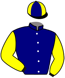 Casaque de L'AMIRAL D'AINAY