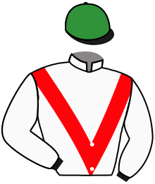 Casaque de GOLDEN FLASH