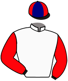 Casaque de MEMPHIS TENNESSEE