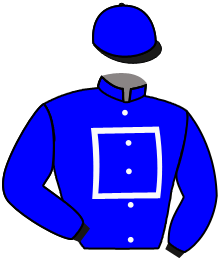 Casaque de NEWS DES BRIERES