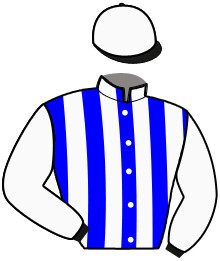 Casaque de KLASSICA BLEUE