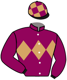 Casaque de GLORI LEADER