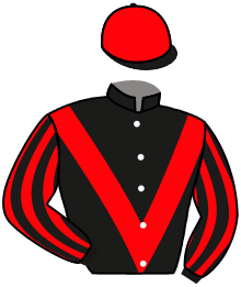 Casaque de HURRICANE VERNES