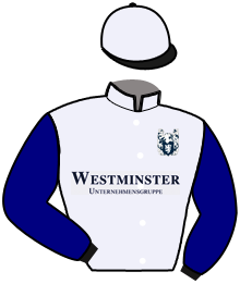 Casaque de WESTMINSTER PILOT