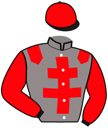 Casaque de MAJESTE DESBOIS