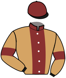 Casaque de KLASSICAL WAY ACE