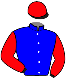 Casaque de MOOSE BLUE