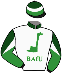 Casaque de HERMES WOOD